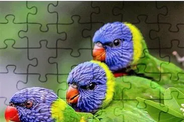 natural jigsaw puzzle