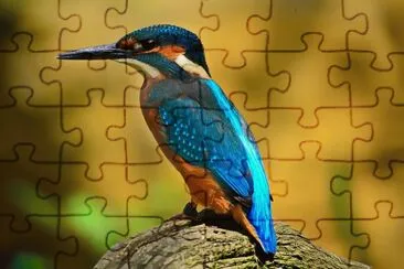 Imagem jigsaw puzzle