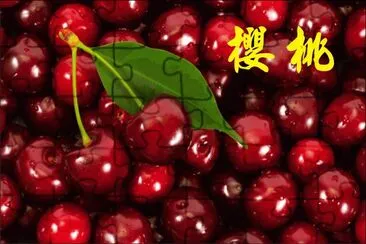 æ«»æ¡ƒ