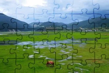 Imagem jigsaw puzzle