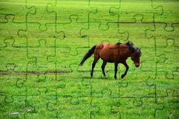 Imagem jigsaw puzzle
