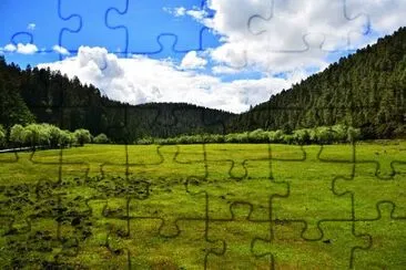 Imagem jigsaw puzzle