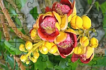 flores jigsaw puzzle