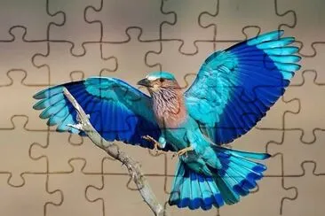 natural jigsaw puzzle