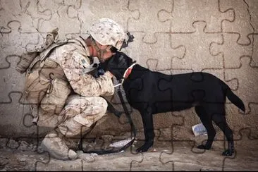 Imagem jigsaw puzzle