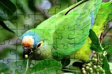 natural jigsaw puzzle