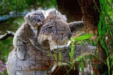 Imagem jigsaw puzzle