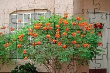NATUREZA