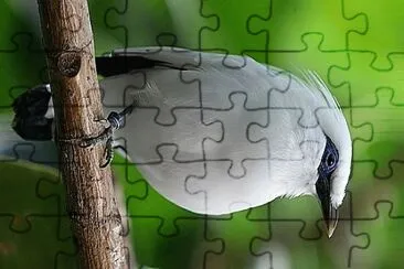 natural jigsaw puzzle