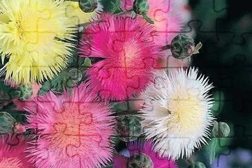 cores