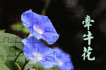 פאזל של æ¤ç‰©èªŒ