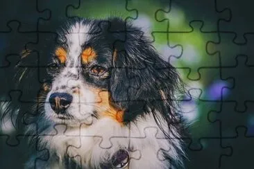 Imagem jigsaw puzzle