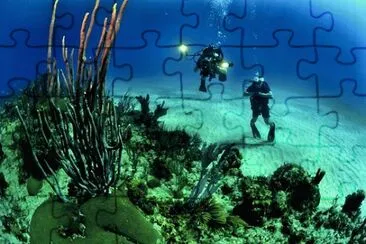 Imagem jigsaw puzzle