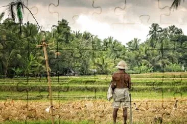 Imagem jigsaw puzzle
