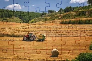 Imagem jigsaw puzzle