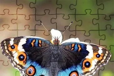 natural jigsaw puzzle