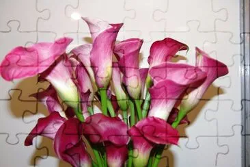 flores jigsaw puzzle
