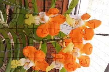 flores