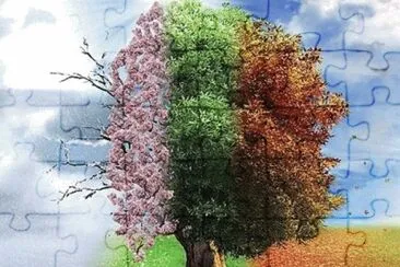 Ãrvore jigsaw puzzle