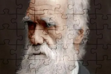 Darwin