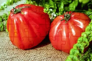Imagem jigsaw puzzle