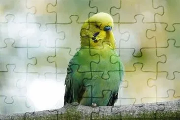 Imagem jigsaw puzzle