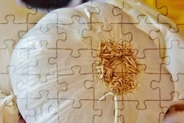 Imagem jigsaw puzzle