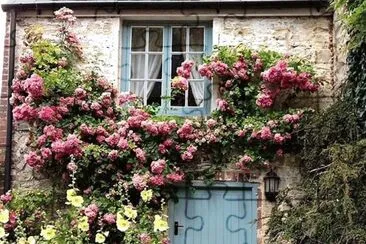 flores