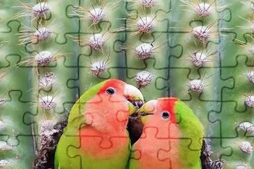 natural jigsaw puzzle