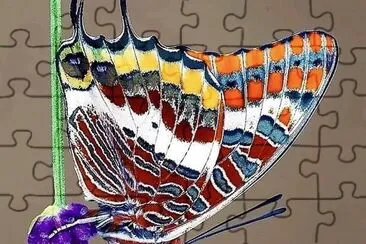 natural jigsaw puzzle