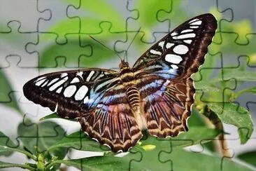 Imagem jigsaw puzzle