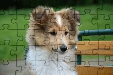 Imagem jigsaw puzzle