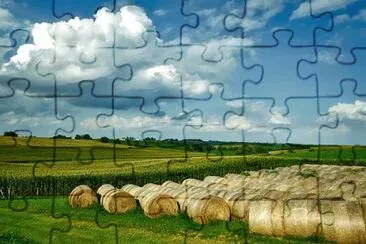 Imagem jigsaw puzzle