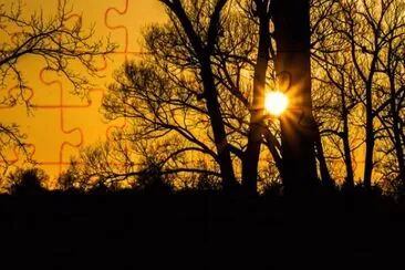 Imagem jigsaw puzzle