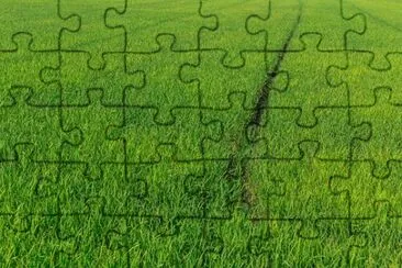 Imagem jigsaw puzzle
