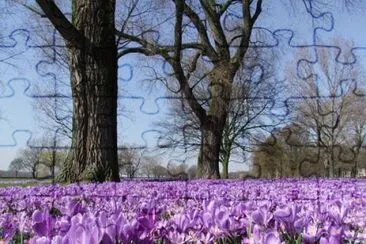 Imagem jigsaw puzzle