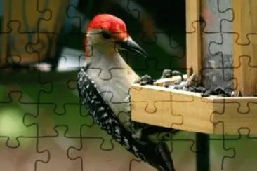 Imagem jigsaw puzzle