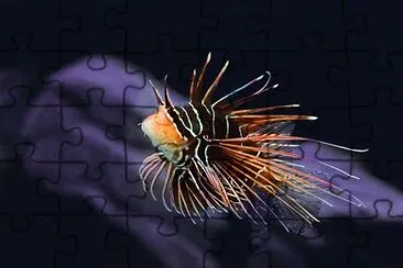 Imagem jigsaw puzzle