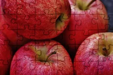 Imagem jigsaw puzzle