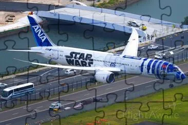 All Niponn Airways Boeing 787 9 Japon