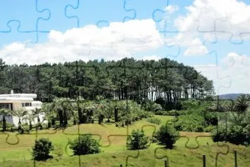 CampiÃ±a uruguaya.