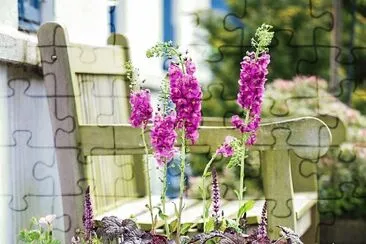 flores