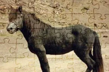 Riding everest jigsaw puzzle