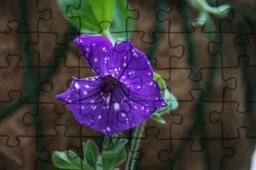 פאזל של Imagem