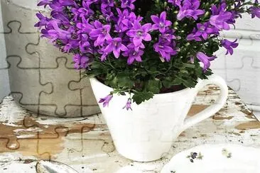 פאזל של flores