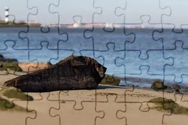 Imagem jigsaw puzzle