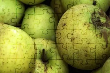 Imagem jigsaw puzzle