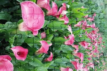 flores jigsaw puzzle