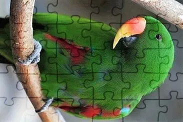 natural jigsaw puzzle
