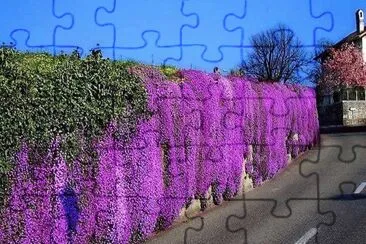 flores jigsaw puzzle
